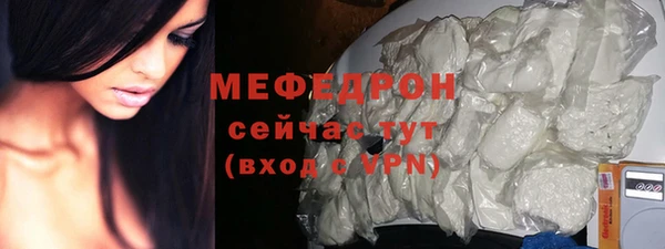 индика Горнозаводск